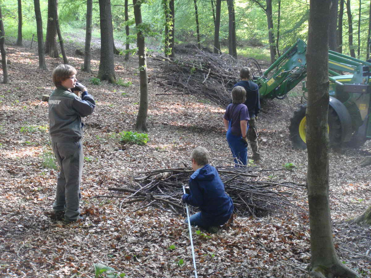 2011-05-07 KPF Wald 06.jpg